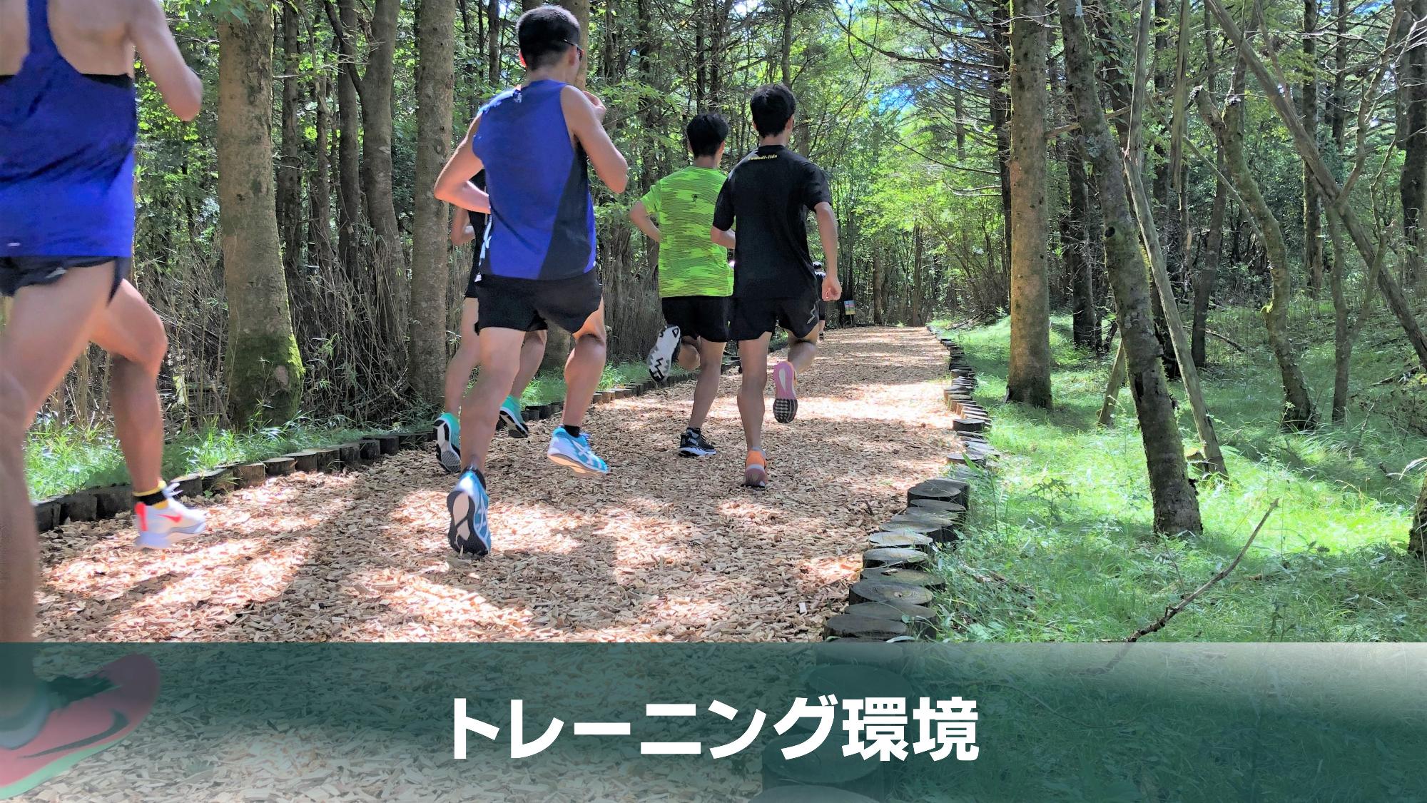 トレーニング環境