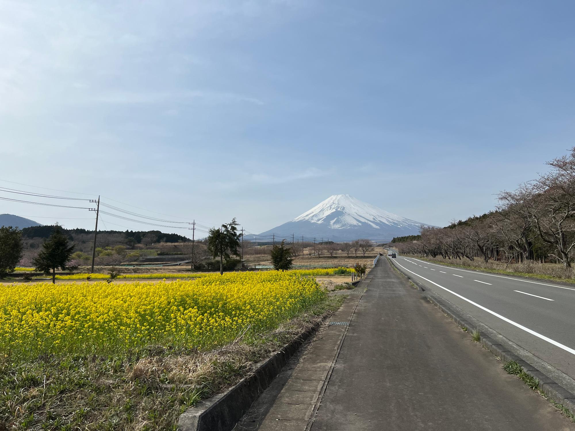 2024040202nanohana