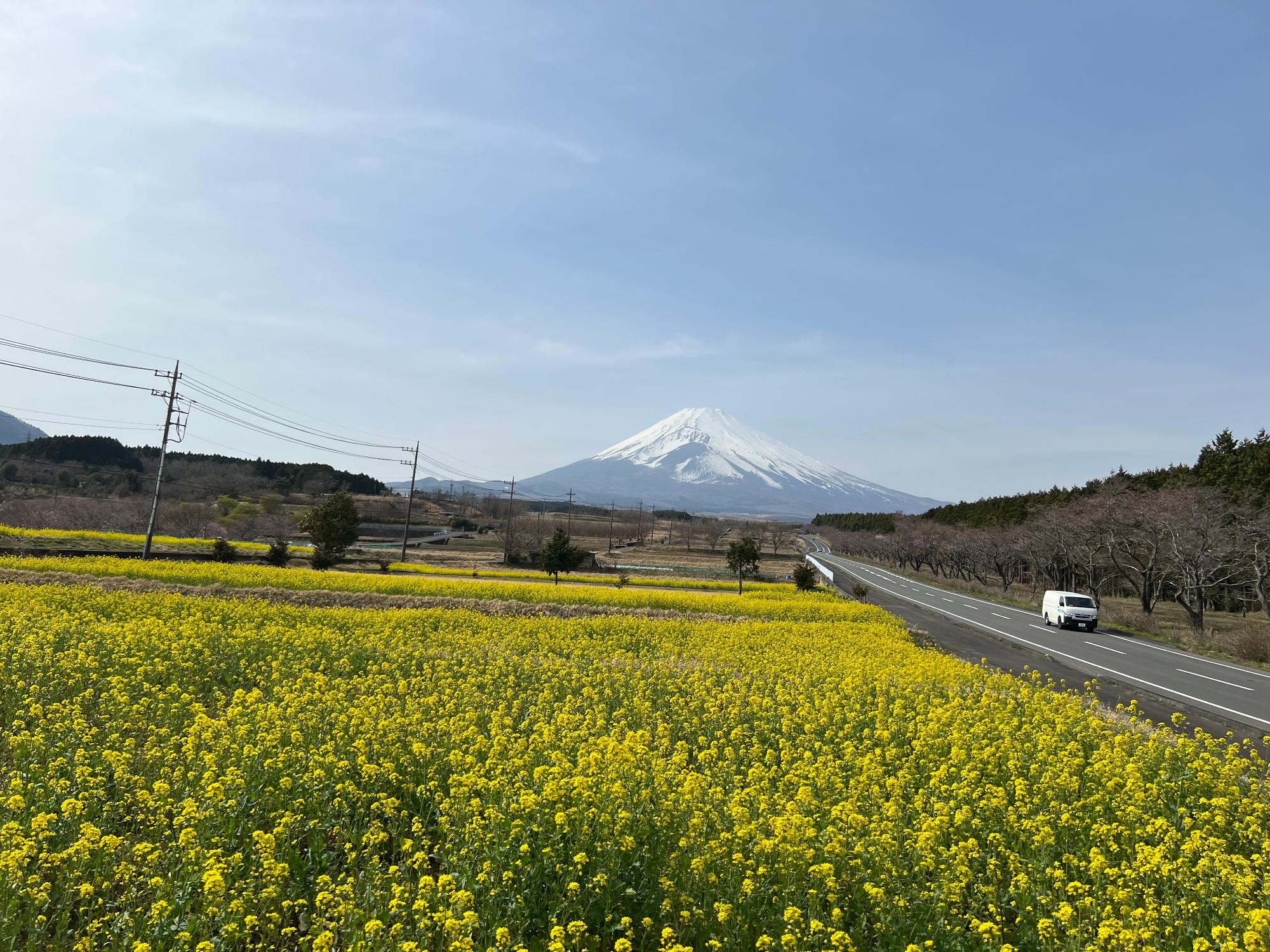 2024040203nanohana