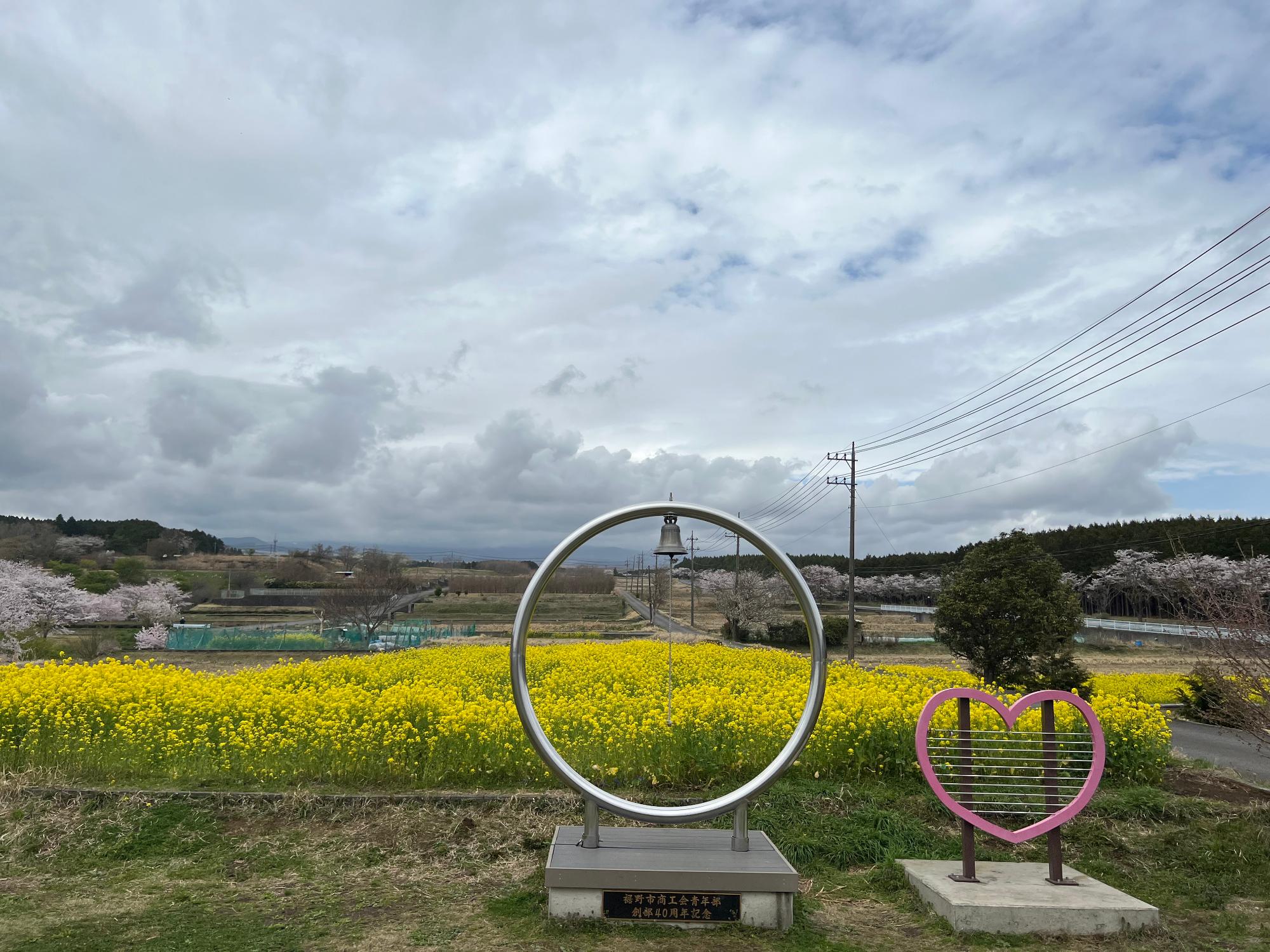 20240408nanohana03
