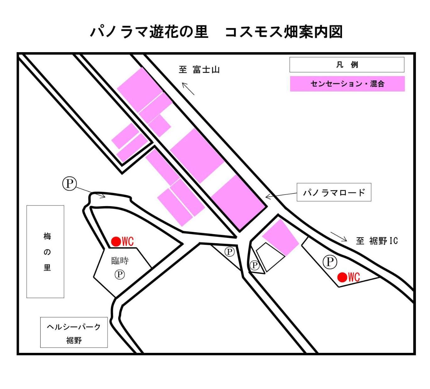 コスモス畑位置図2024