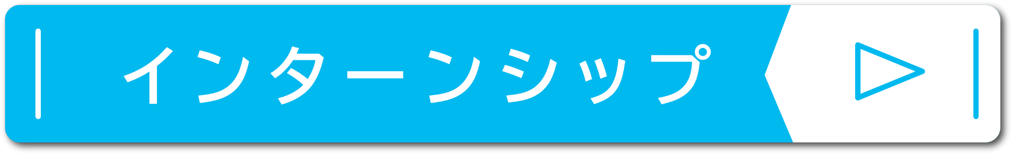 internbanner