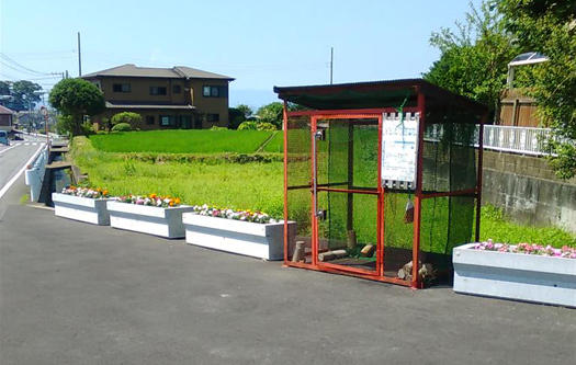 ごみステーションの左右に並ぶ花壇の写真