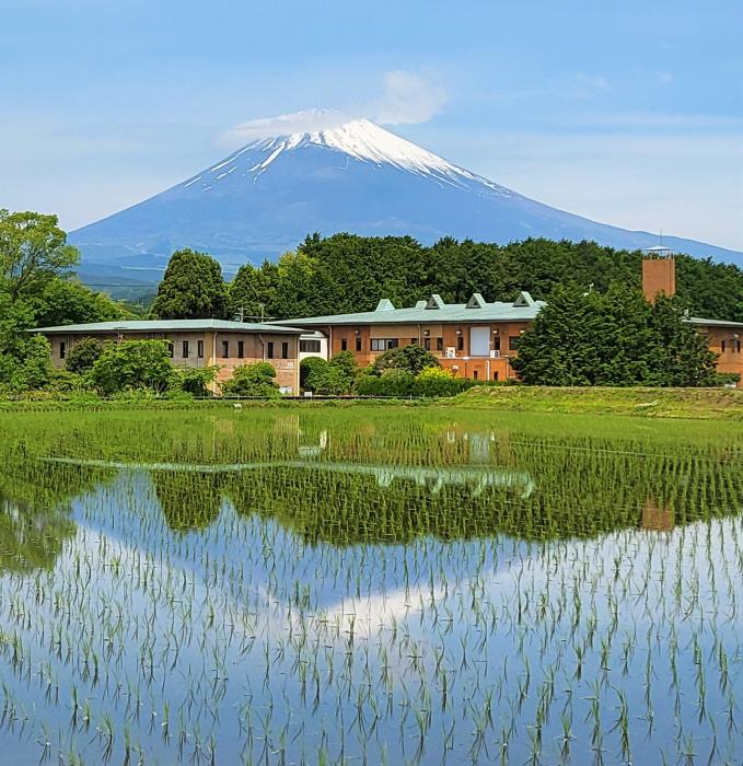 田んぼの逆さ富士