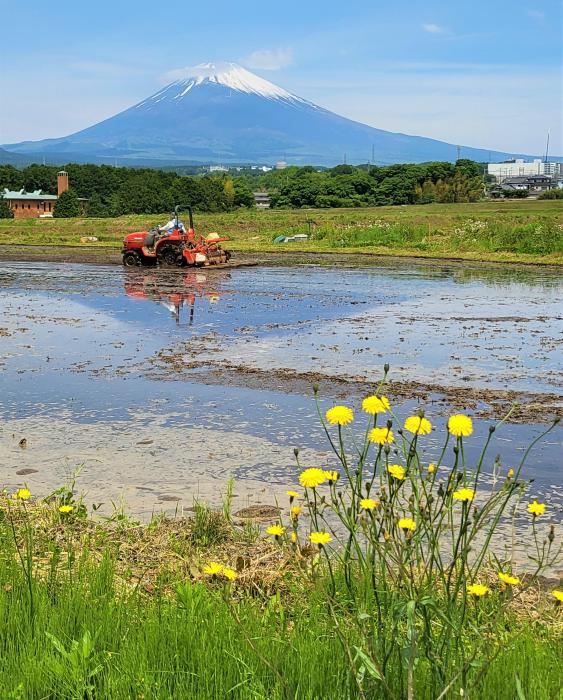 田植えの準備