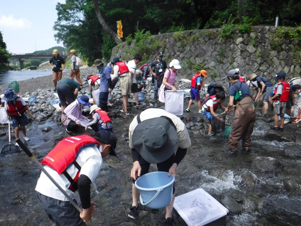 親子水生生物観察会の写真