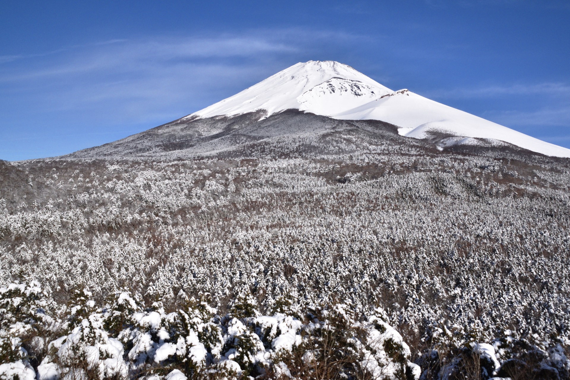 2月_白銀の富士_室伏淳史