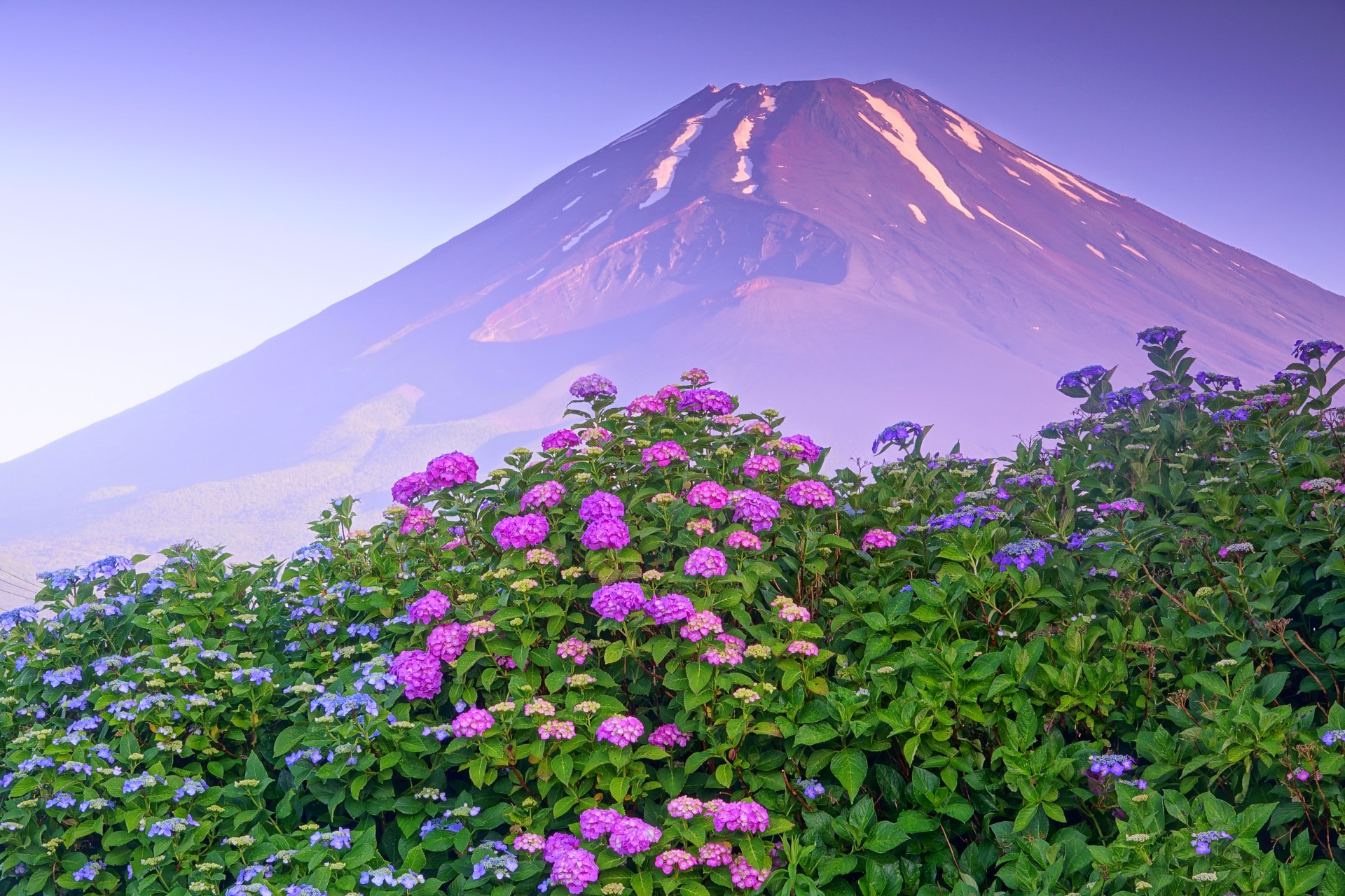 6月_梅雨晴れの朝_岩浅利泰