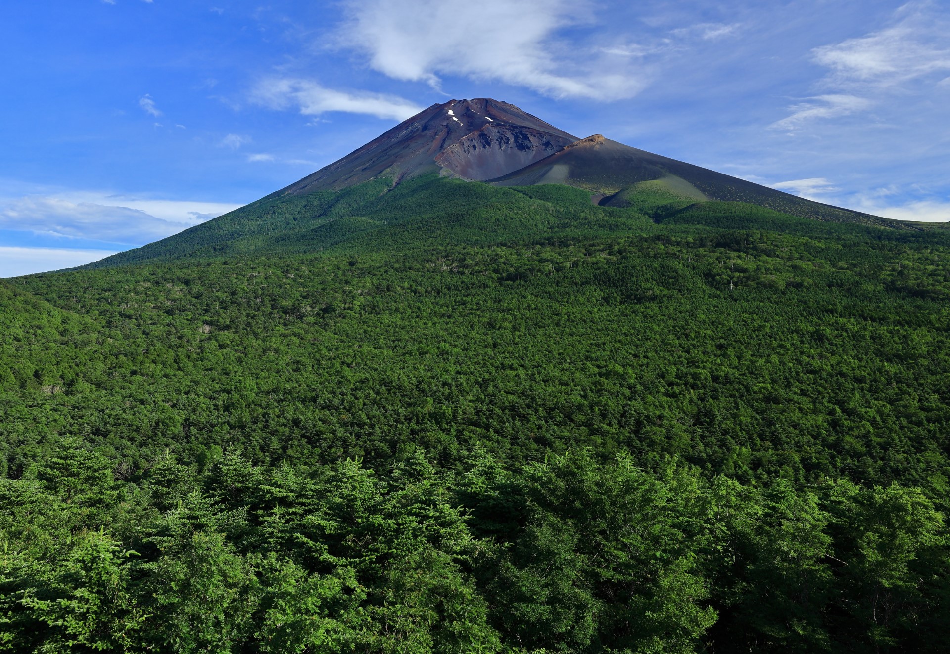 7月_清夏_川口信芳