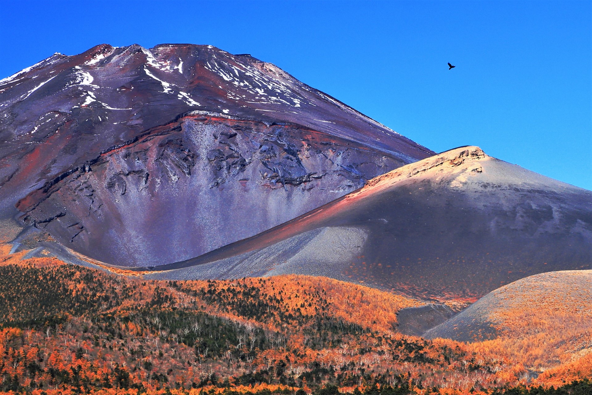 10月_宝永火口の秋_荒川昌彦