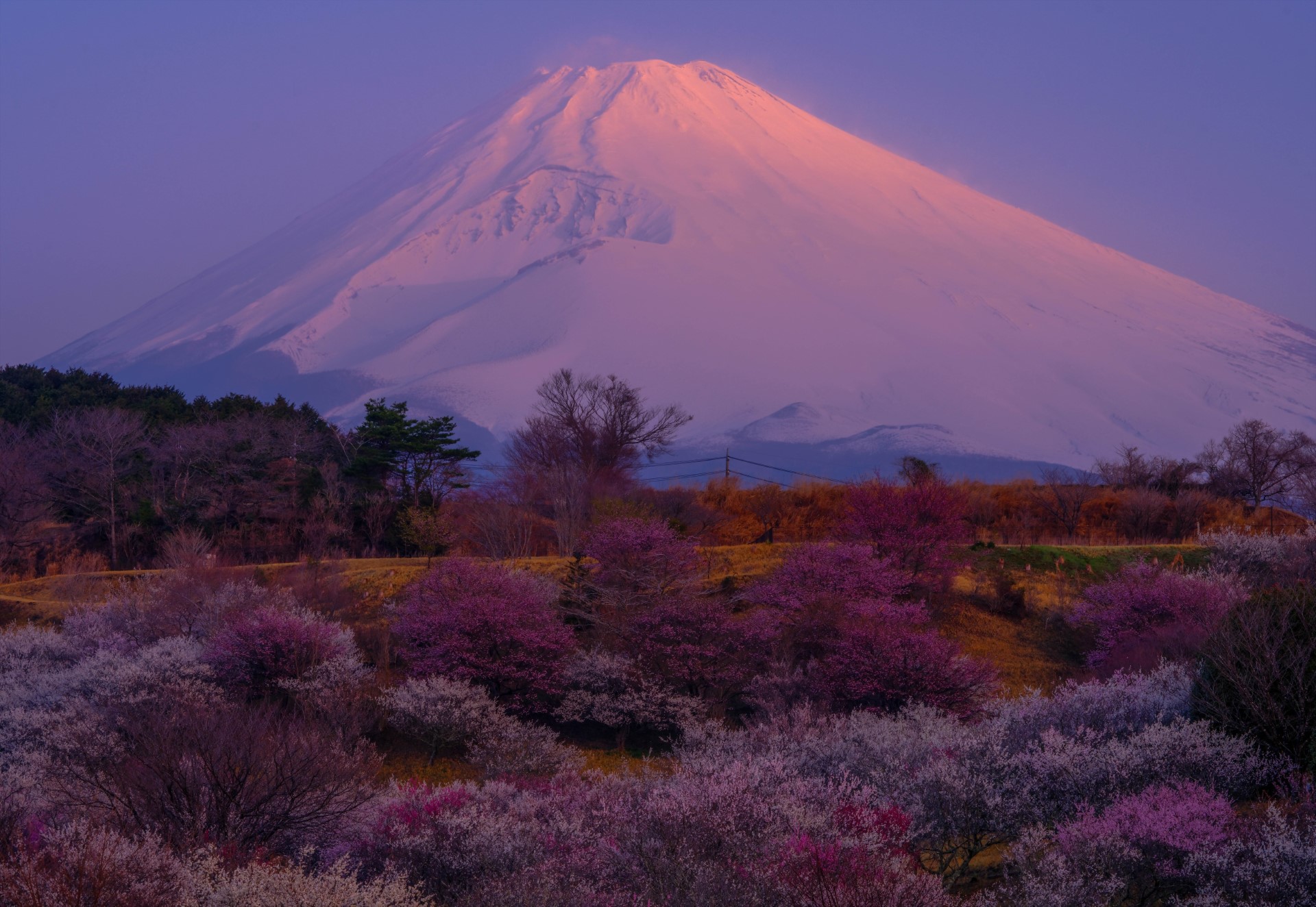 朝陽に染めて