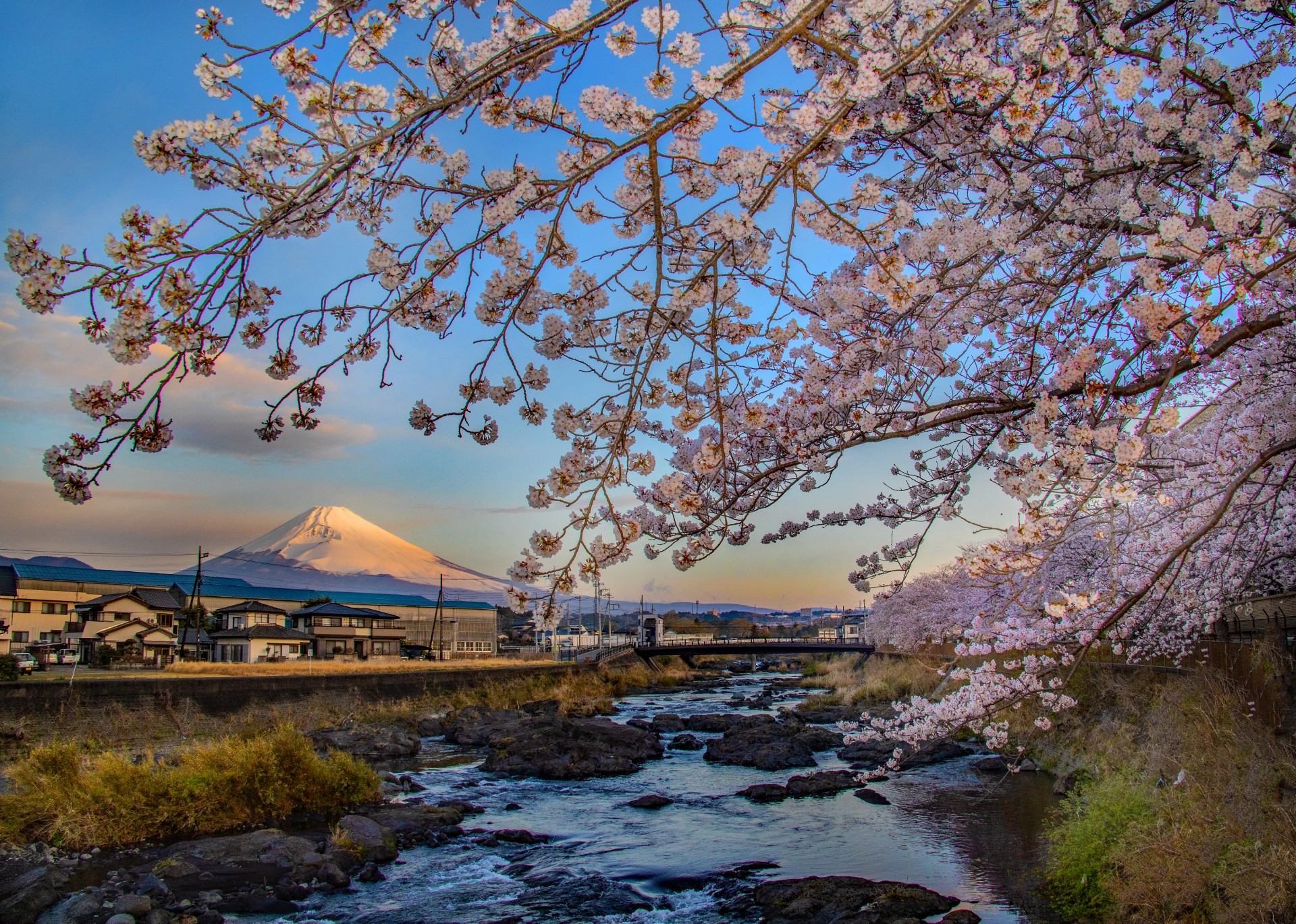 川辺の春