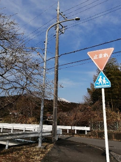 照明灯全景