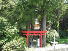 浅間神社社叢