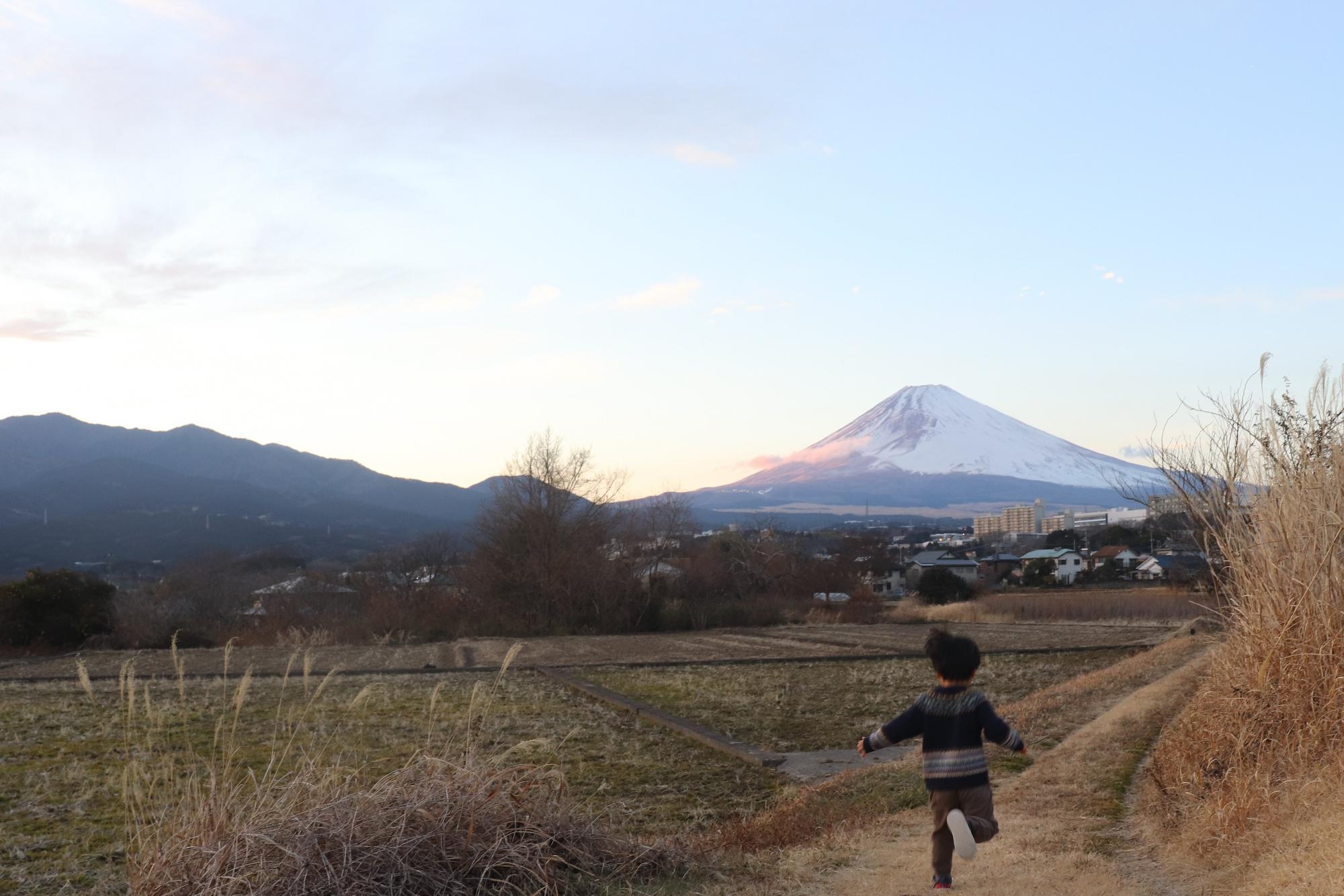 富士に駆ける