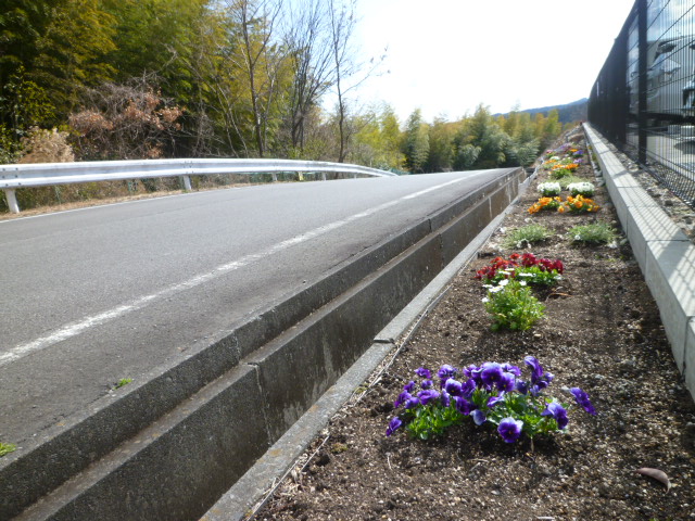 側溝の横に花が植えられている写真