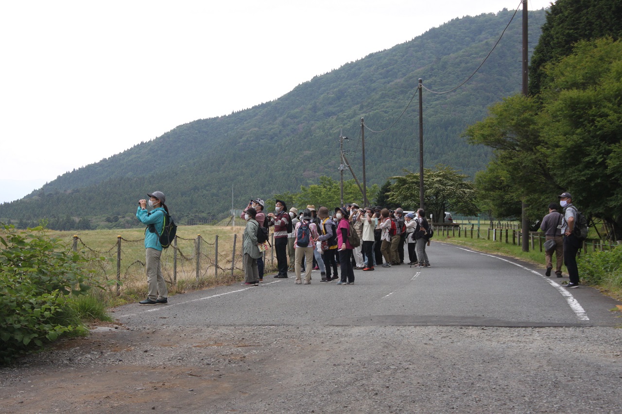 雲間から富士山