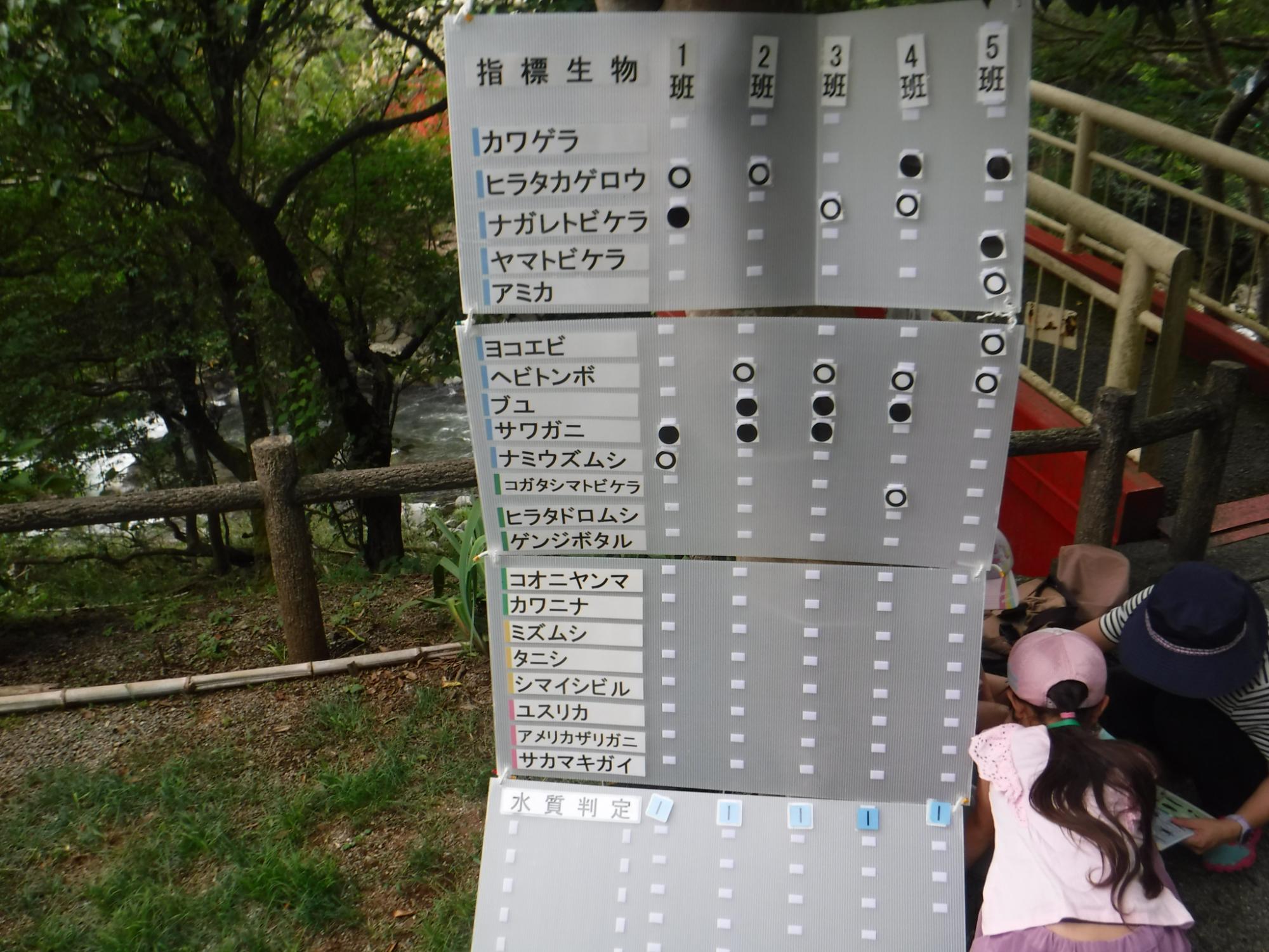 親子水生生物観察会の写真