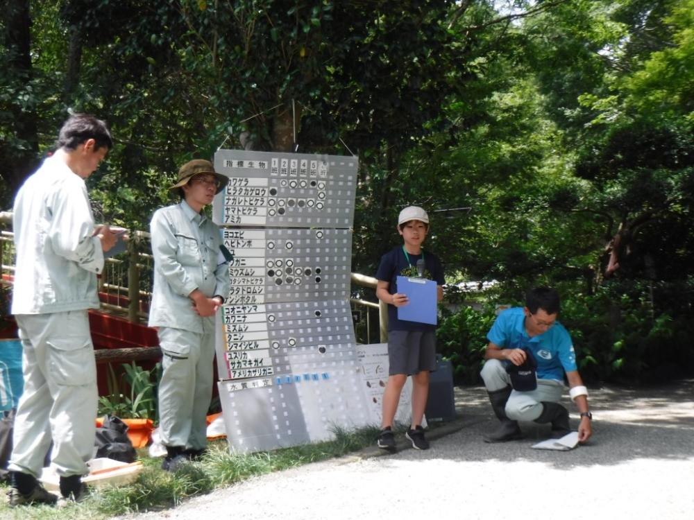 親子水生生物観察会の写真