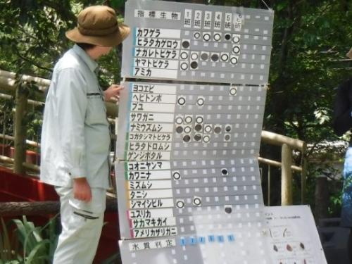 親子水生生物観察会の写真