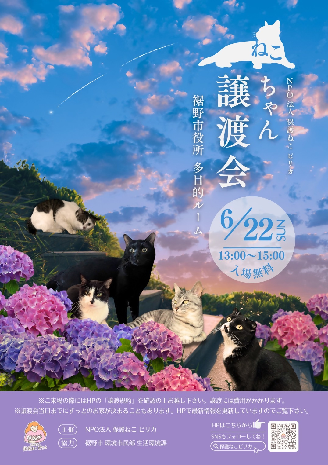 保護猫譲渡会チラシ