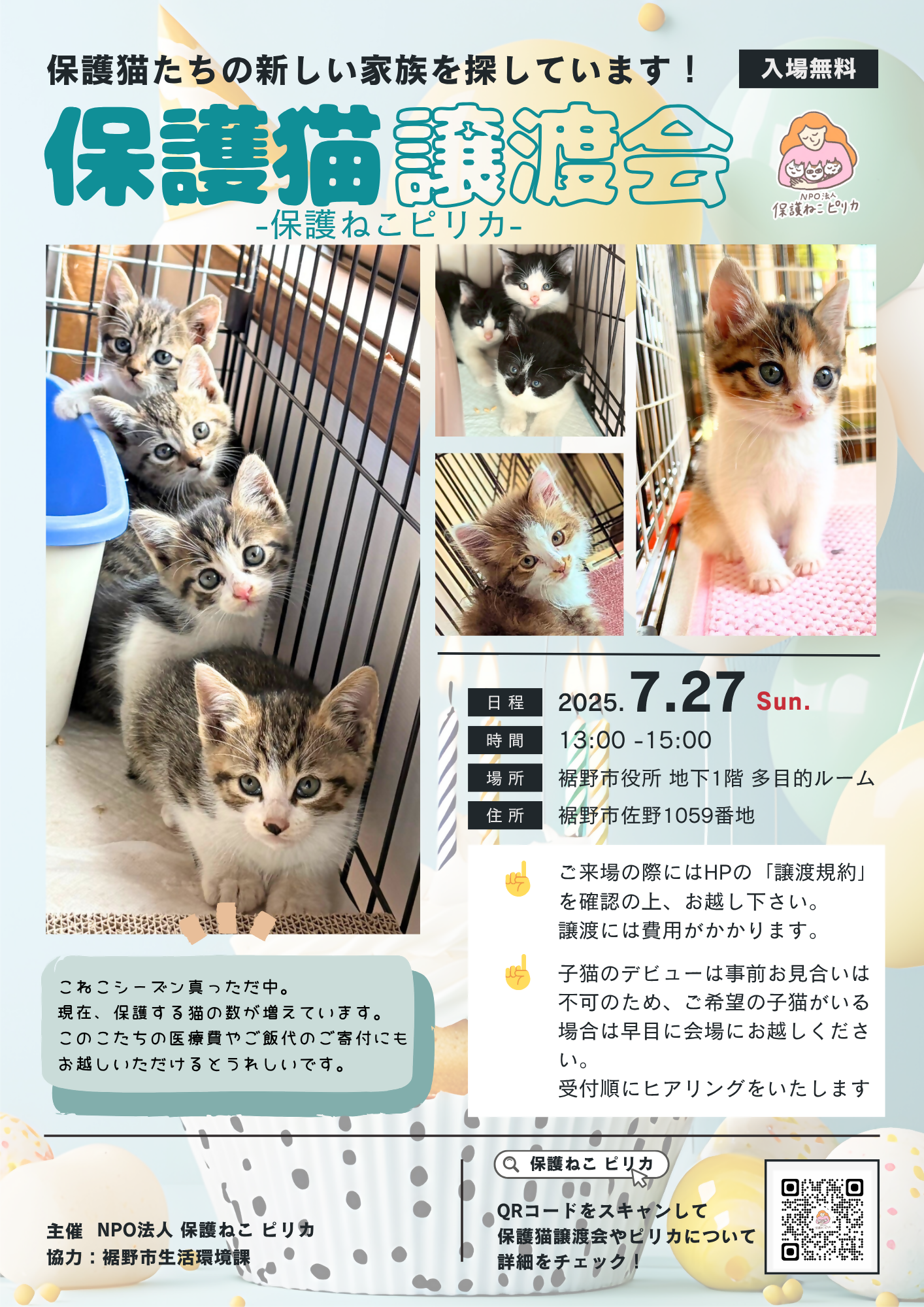 保護ねこ譲渡会
