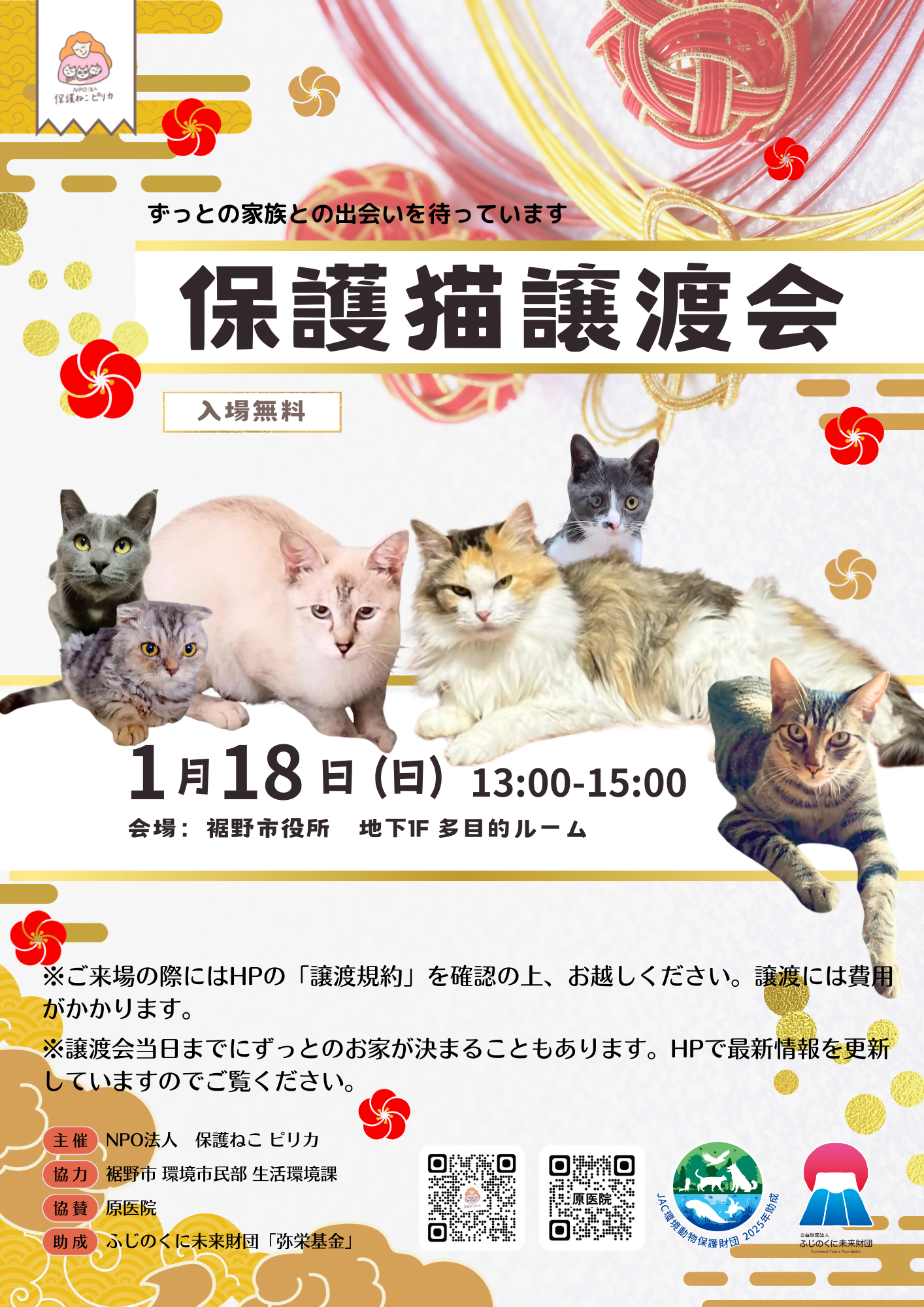 保護ねこ譲渡会