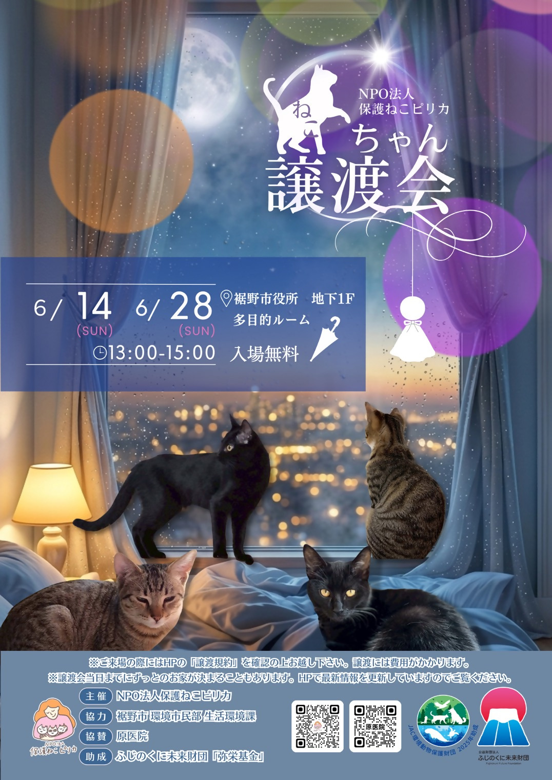 保護ねこピリカの譲渡会チラシ