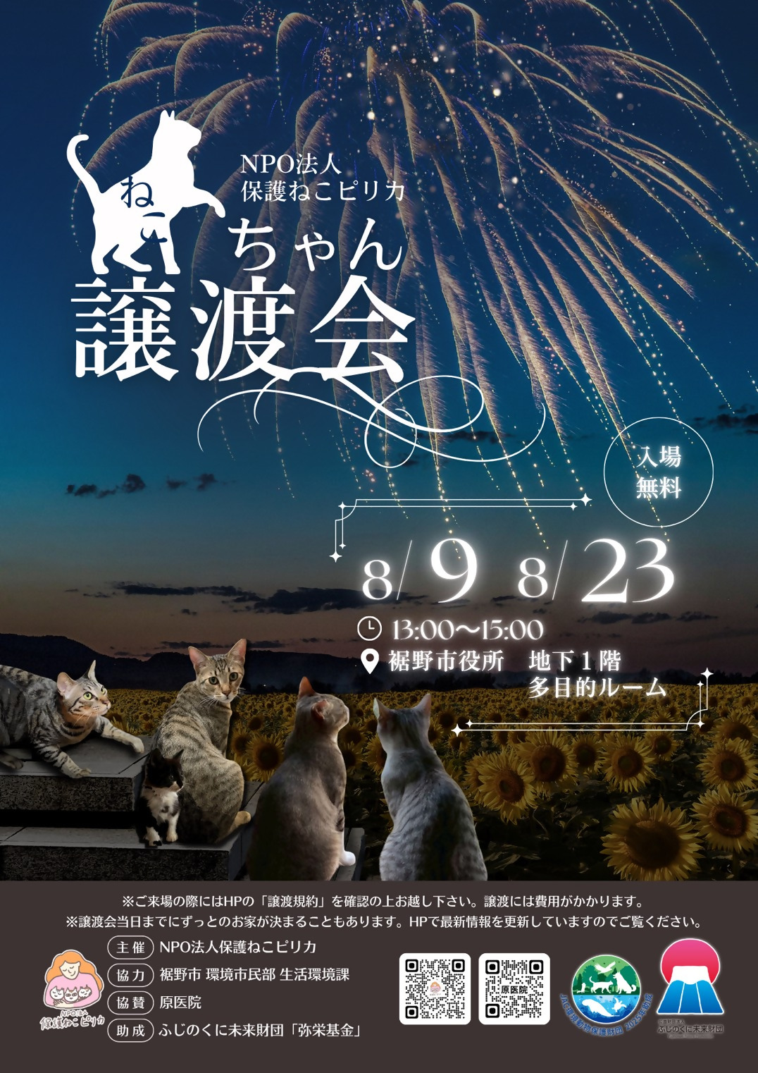 保護ねこピリカの譲渡会チラシ