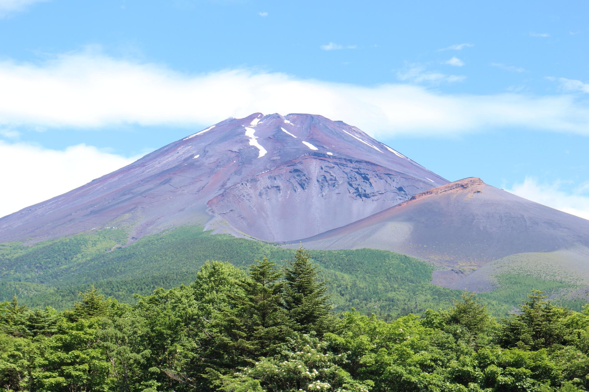 水ヶ塚公園から見た富士山