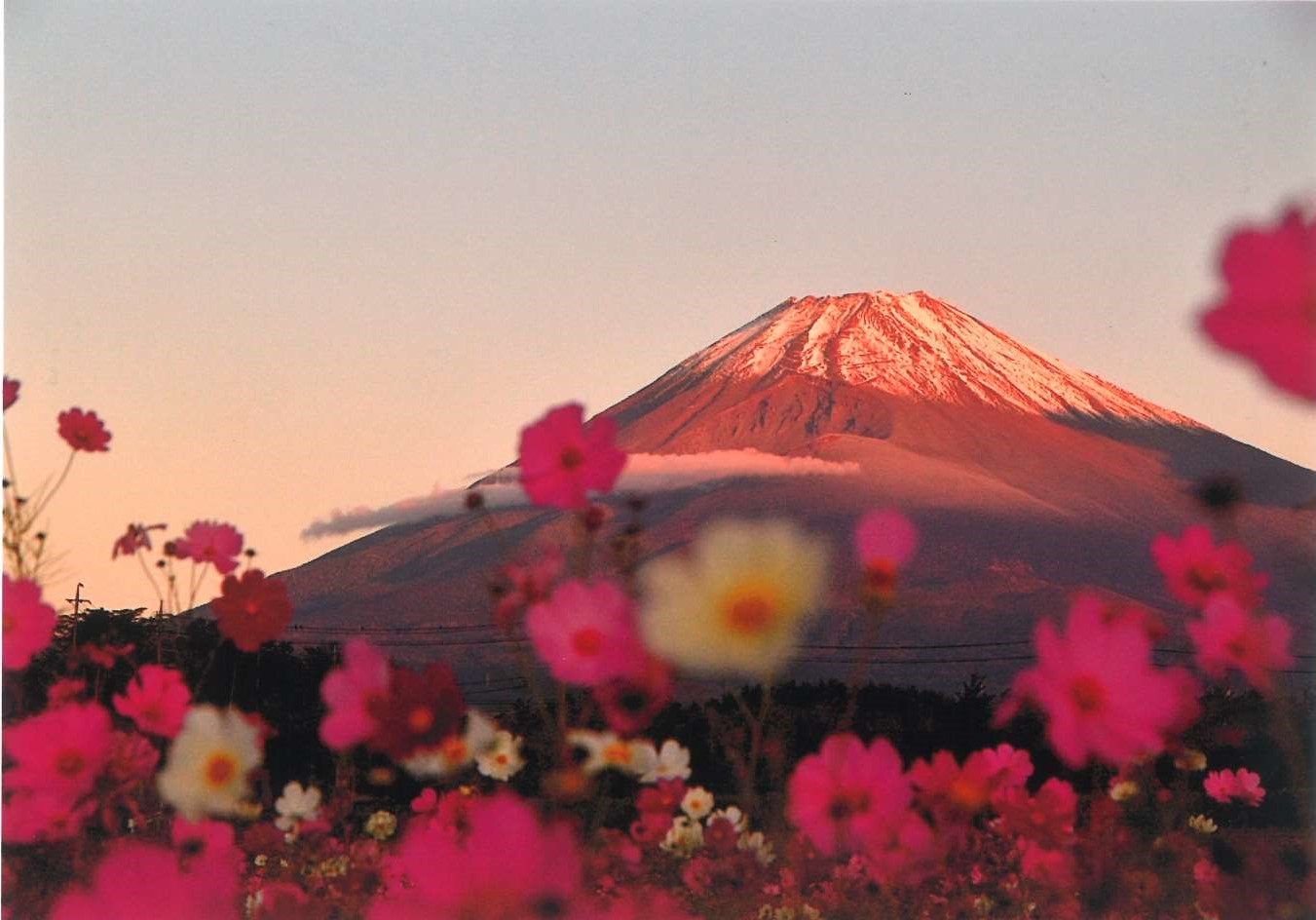 3.「朝日に輝く富士山」太田 守