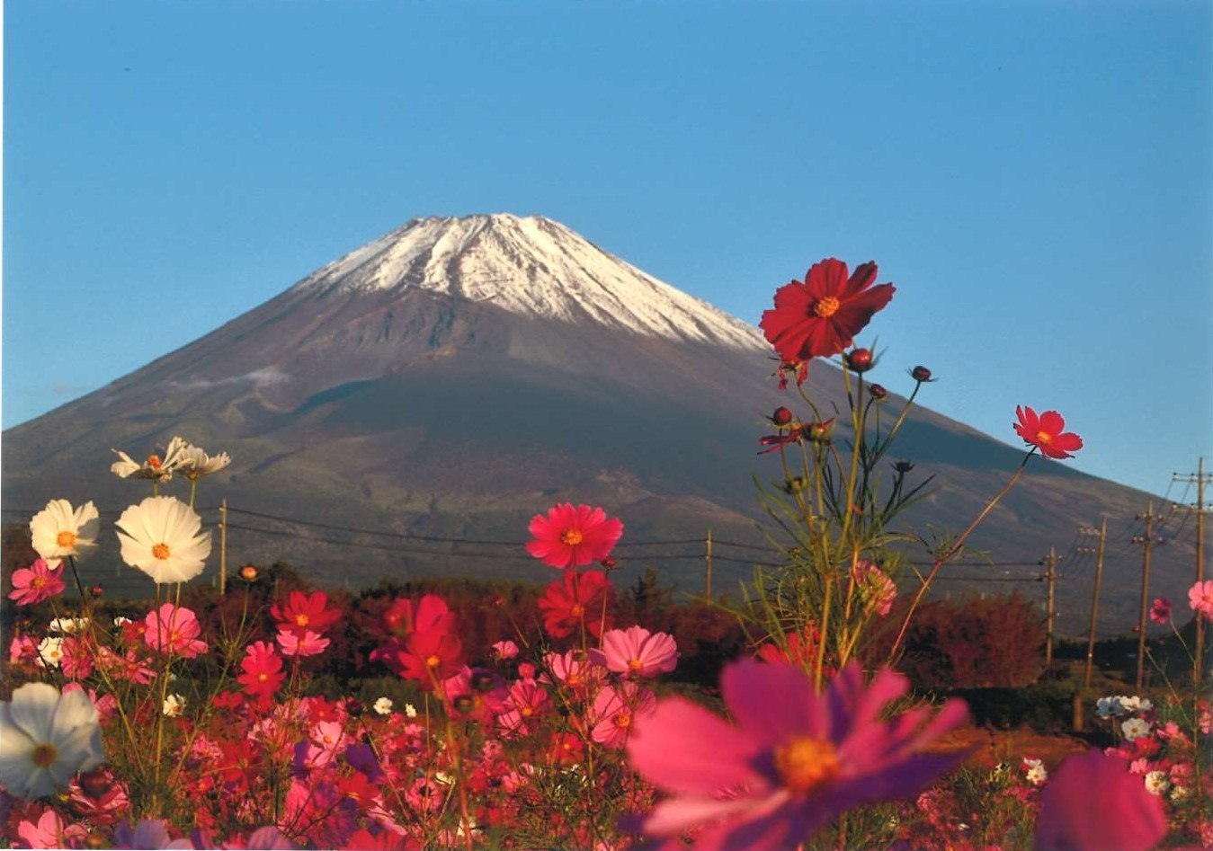 5.「富士山と背比べ」太田 守