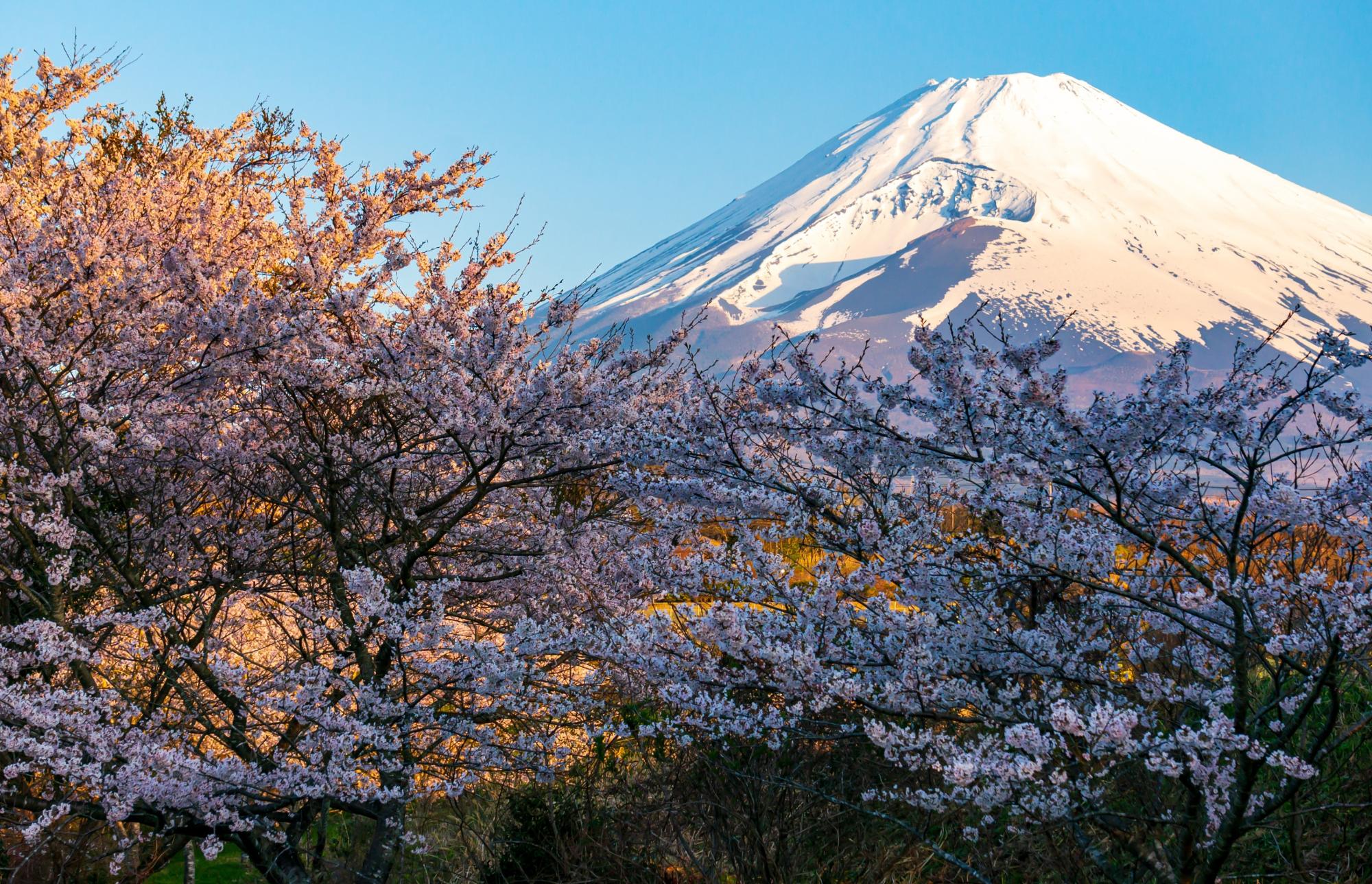 55.「秋の彩り」勝又 守洋