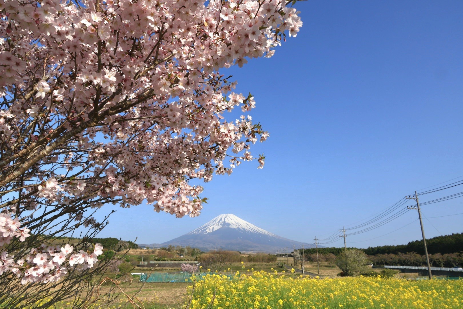 57.「いこいの広場」原 久子