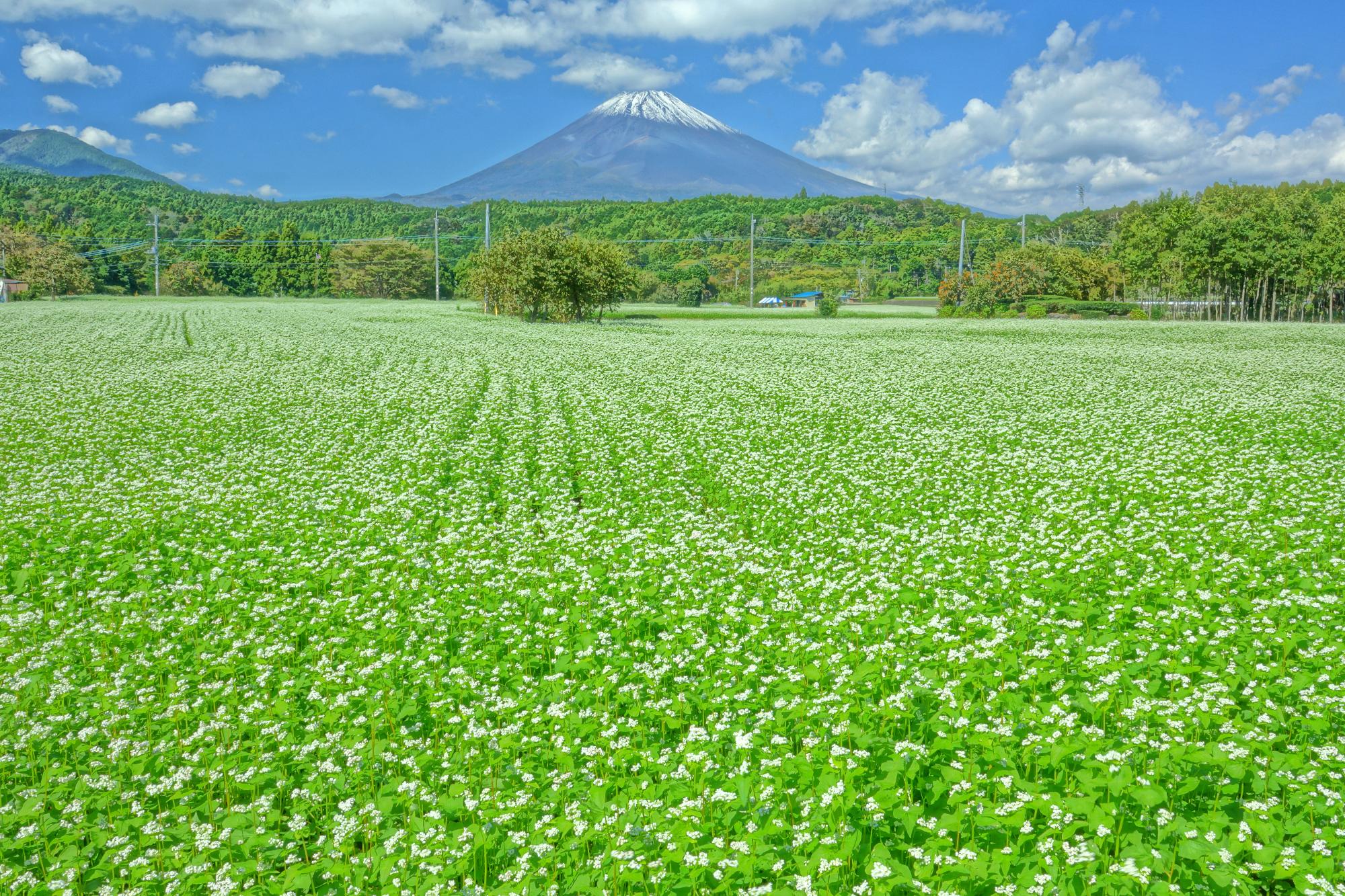 3等_岩浅利泰_豊穣の里