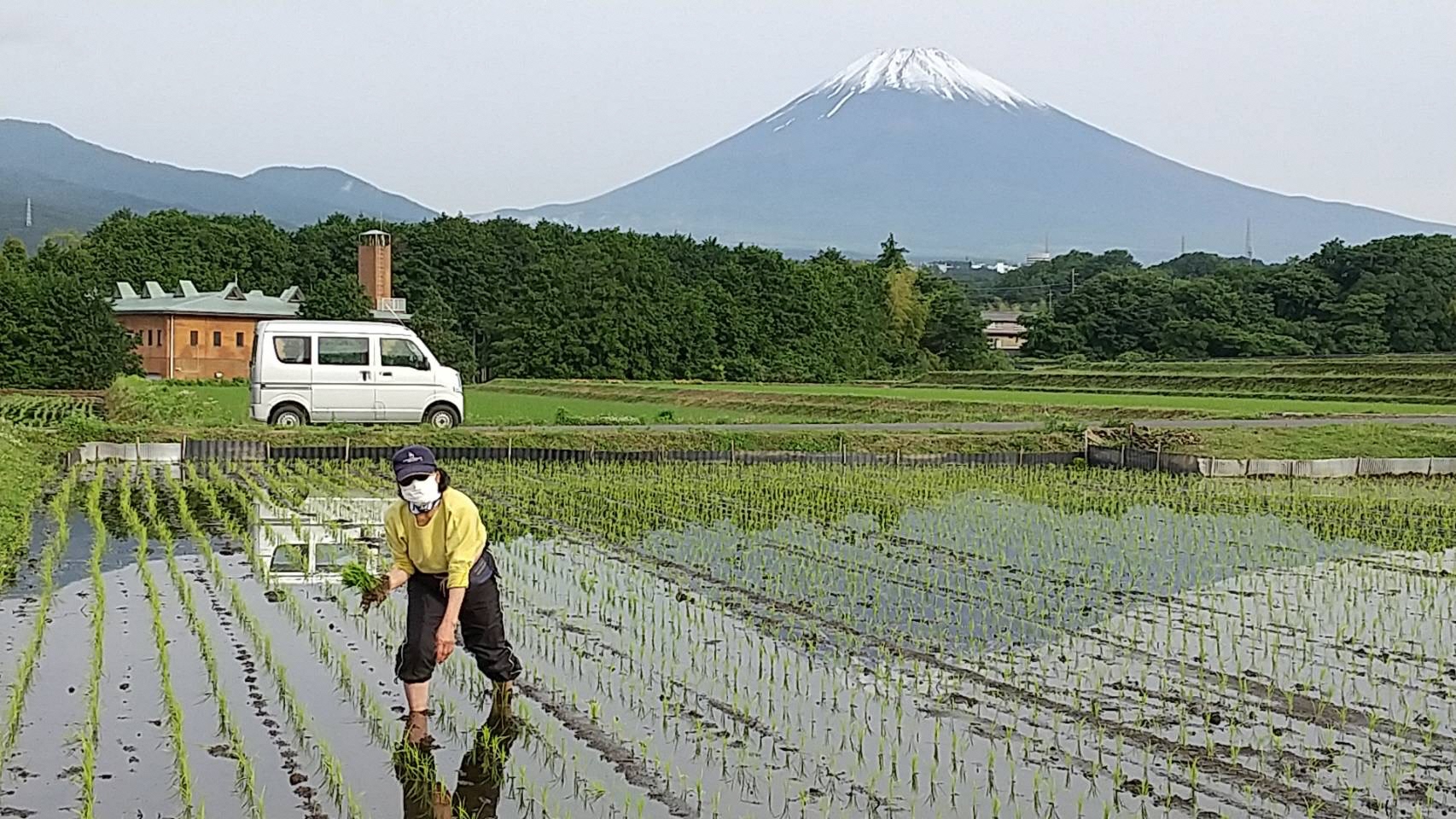 3等_芹澤精一_私の田植え