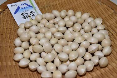 銀杏