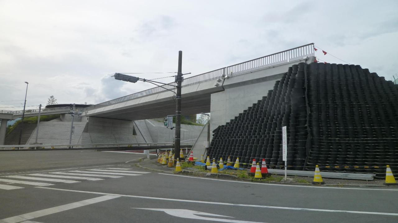 東側から見た新御宿横断歩道橋の様子