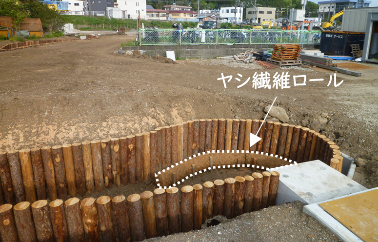 水路工事下流のたまり部の様子