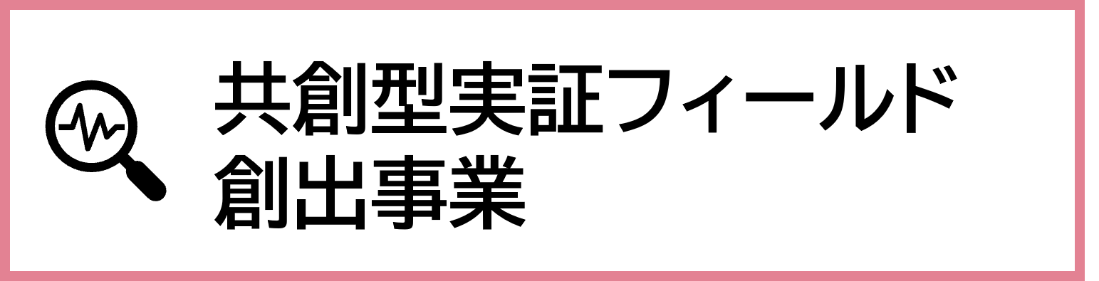 共創型実証フィールド創出事業