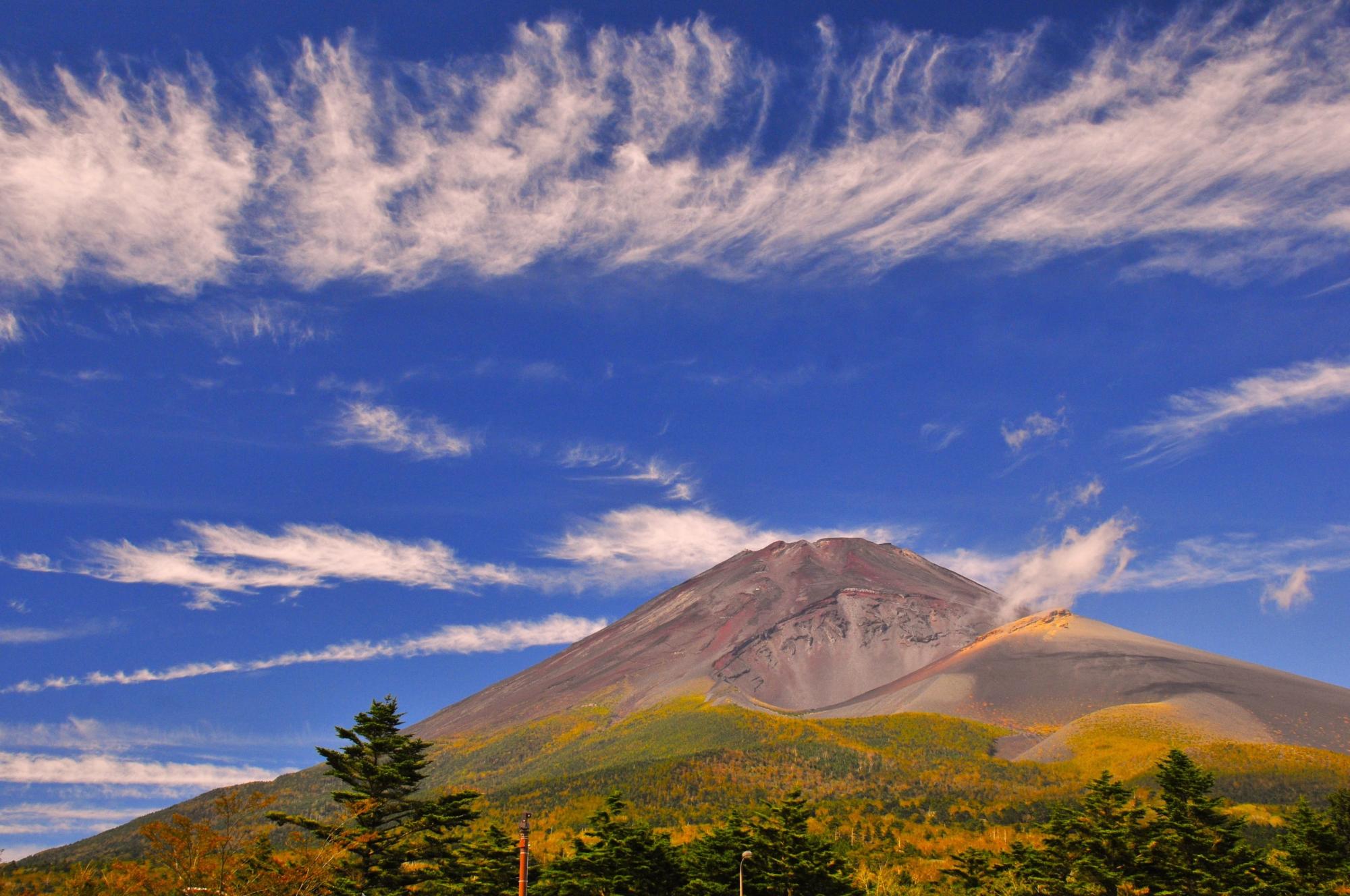 富士山写真
